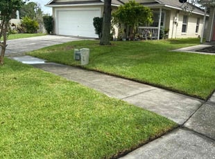 Candice W.'s Lawn Mowing service result
