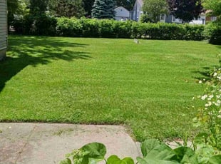 Leslie R.'s Lawn Service service result