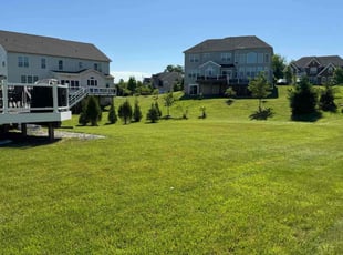 Theresa N.'s Lawn Service service result