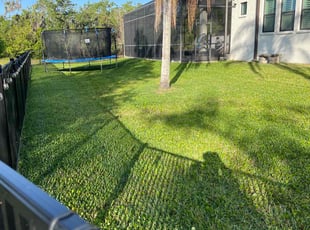 Marissa O.'s Grass Cutting service result