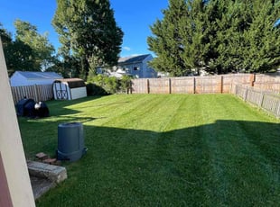 Kia B.'s Yard Cutting service result