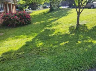 Michele H.'s Lawn Care service result
