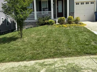 Bush Trimming by Caree Keith for OWEN W. in Hyattsville, MD