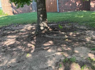 Leaf Removal by Luke Bruner for Tsali S. in Norman, OK