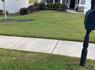 Joseph M.'s Grass Cutting service result