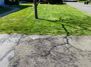 Abe R.'s Yard Cutting service result