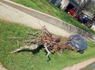 Cleanups by Jose Martinez for Kyle L. in Bedford, TX