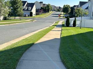 Susan H.'s Lawn Service service result