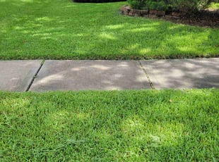 Janet W.'s Grass Cutting service result