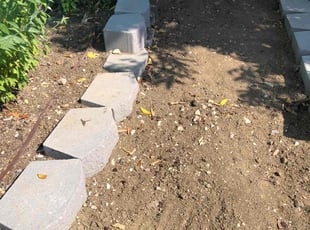 Bush Trimming by Santos Pereira for Adina L. in Los Angeles, CA
