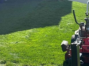 Damon B.'s Lawn Mowing service result
