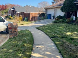 Phillena Q.'s Yard Cutting service result