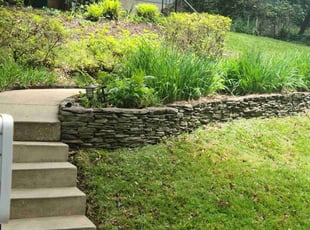 Bush Trimming by Dennys Cerna-mendez for Frances K. in Silver Spring, MD