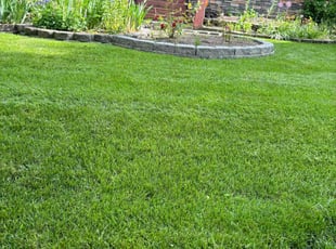Maria S.'s Lawn Maintenance service result