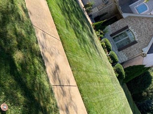 Michael V.'s Lawn Care service result