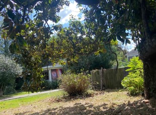Bush Trimming by Jeconiah Conway for Lucius B. in Lafayette, LA