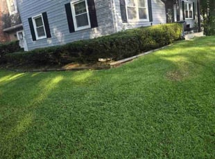 Bush Trimming by Zachary Krenik for Jerri D. in Upper Marlboro, MD