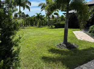 Mike B.'s Lawn Mowing service result