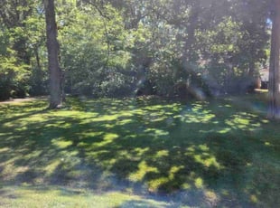 Shavon G.'s Lawn Mowing service result