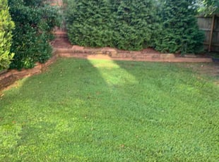 David M.'s Lawn Care service result