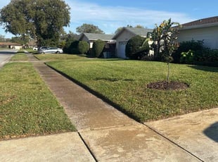 Chandra H.'s Lawn Service service result