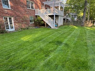 Angel M.'s Lawn Service service result