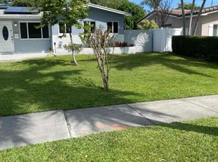 Melissa A.'s Lawn Maintenance service result