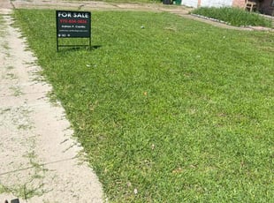 Lisa O.'s Lawn Mowing service result