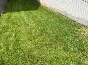 Julie N.'s Lawn Mowing service result