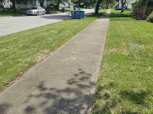 Anna S.'s Lawn Service service result