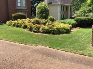 John S.'s Lawn Mowing Service service result