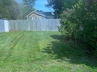 Jeffrey S.'s Yard Cutting service result