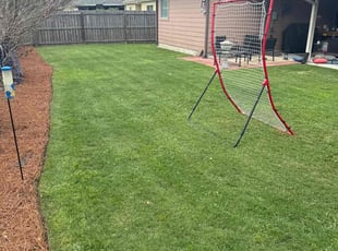Amy G.'s Lawn Maintenance service result