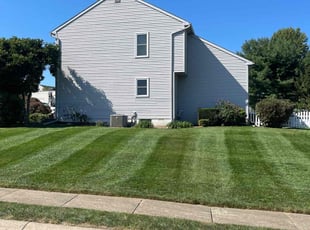 Jessica N.'s Grass Cutting service result
