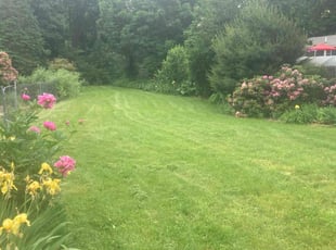 Linda W.'s Lawn Mowing service result