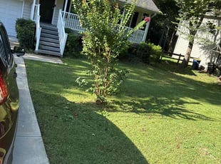 Bush Trimming by Durand Turner for Shaneik J. in Kennesaw, GA
