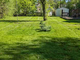 Debbie D.'s Grass Cutting service result