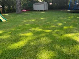 Bess S.'s Lawn Care service result