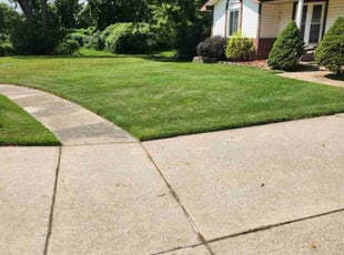 Chrissy A.'s Lawn Mowing service result