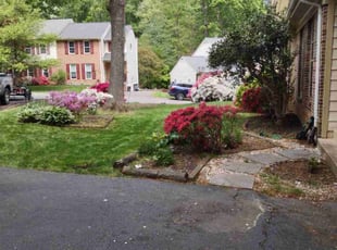 Don H.'s Yard Cutting service result