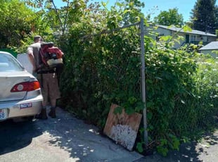 Bush Trimming by Riki Howry for Connor S. in Portland, OR