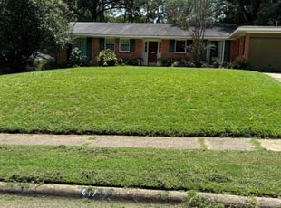 Marsha M.'s Lawn Maintenance service result
