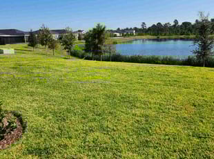 Kathy P.'s Lawn Service service result