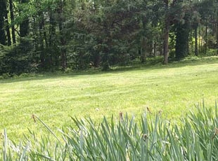Crystal T.'s Lawn Service service result
