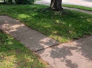 Laura P.'s Lawn Mowing service result