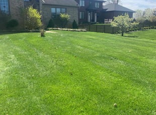 Kathy J.'s Yard Cutting service result