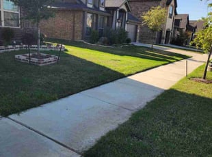Annelle H.'s Lawn Care service result