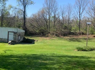 Lydia R.'s Grass Cutting service result