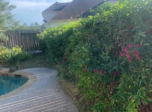 Bush Trimming by Jonathon Holland for David K. in Cypress, TX