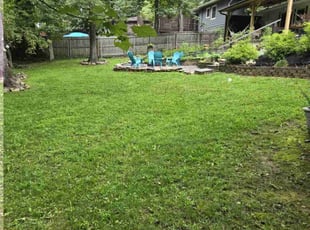 Andrew G.'s Lawn Mowing service result